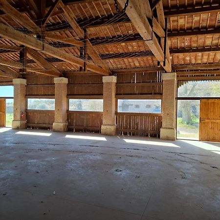 Mas De Bonnafoux Villa Beaucaire  Eksteriør billede