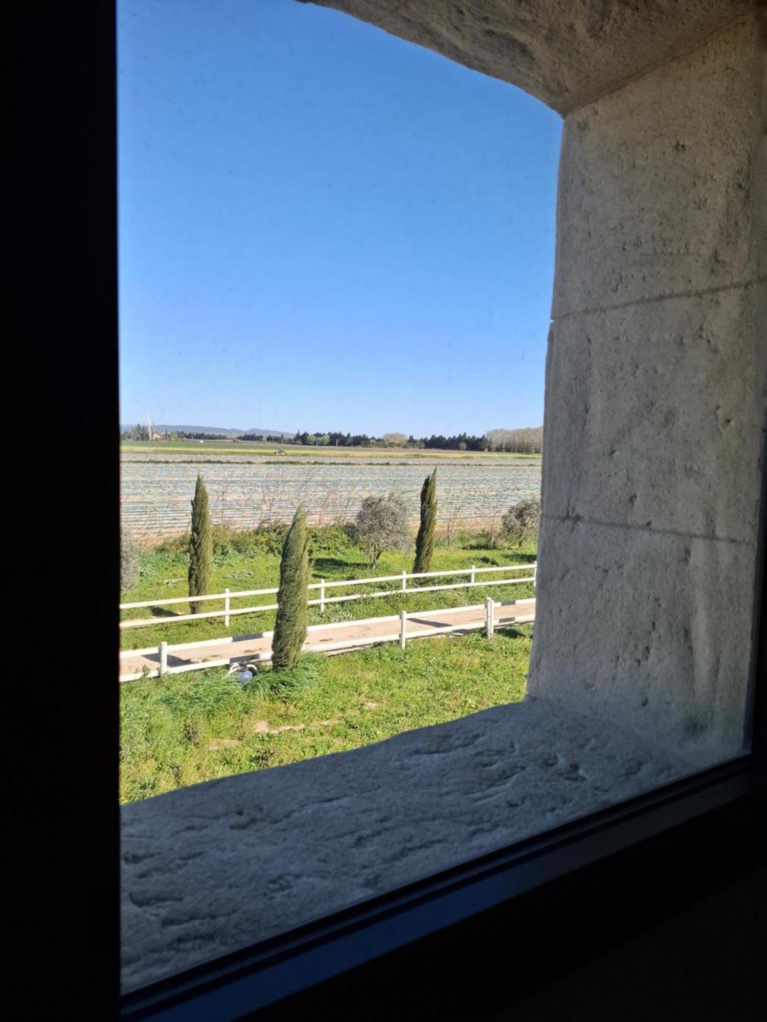 Mas De Bonnafoux Villa Beaucaire  Eksteriør billede